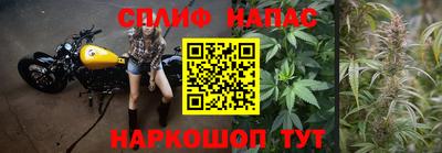 ECSTASY Кунгур