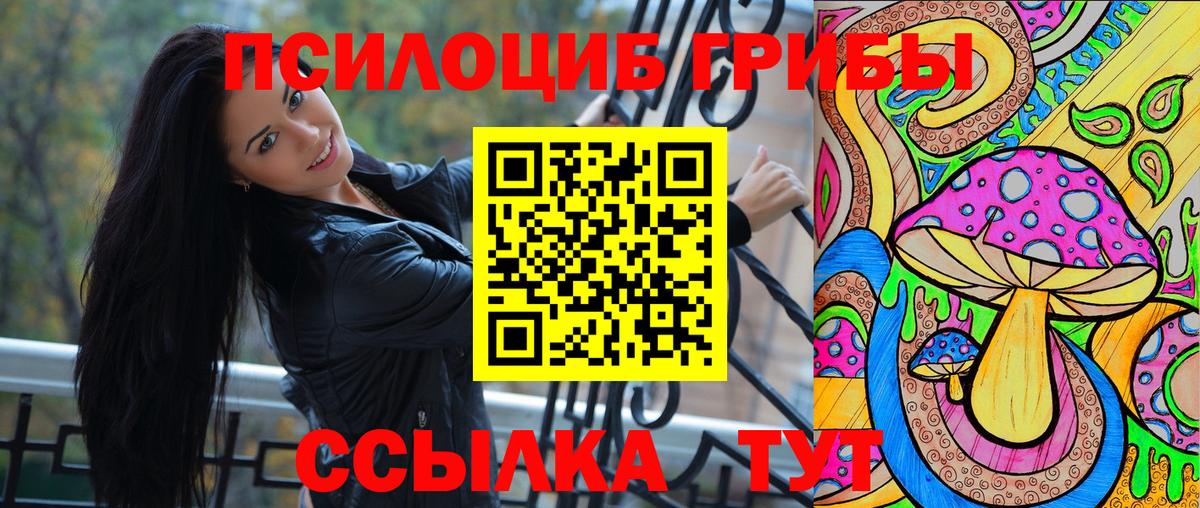 Галлюциногенные грибы Psilocybe  Галлюциногенные грибы ЛСД  купить   Вход с VPN  Избербаш 